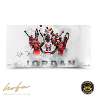 MICHAEL JORDAN 122345 JERSEY COLLAGE 36x18 - L123