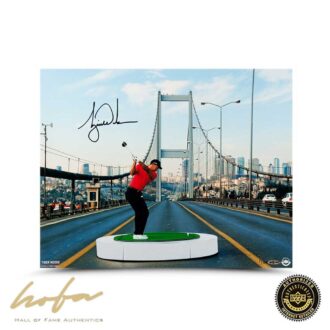 TIGER WOODS THE BRIDGE 16x20 - L100