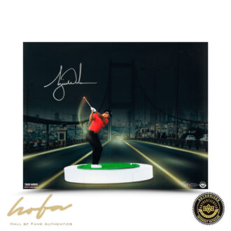 TIGER WOODS THE BRIDGE AT NIGHT 16x20 - L50
