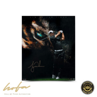 TIGER WOODS EYE OF THE TIGER 20x24 - L100