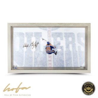 WAYNE GRETZKY GREAT FROM ABOVE ACRYLIC DISPLAY 30x18 FRAMED