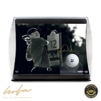 TIGER WOODS 'TIGER DRIVE' HORIZONTAL CURVE DISPLAY WITH BRIDGESTONE BALL -L100