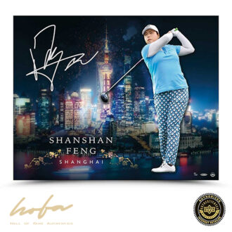 SHANSHAN FENG "SHANGHAI CITY SKYLINE" 30x24 - L30