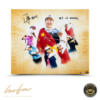 SHANSHAN FENG INSCRIBED "JOURNEY TO NO. 1" 24x20 - L50