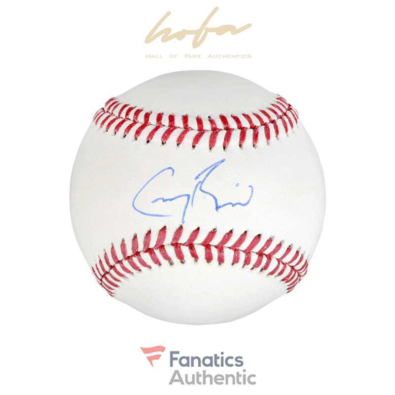 greg_bird_new_york_yankees_autographed_baseball_2387218_1.png