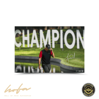 TIGER WOODS "THE TIE" 24X16 IMAGE-L82