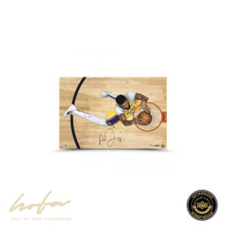 Anthony Davis Prowess 24X16 -L100