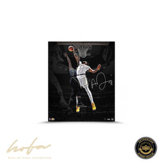 Anthony Davis Rejection 20X24 -L100