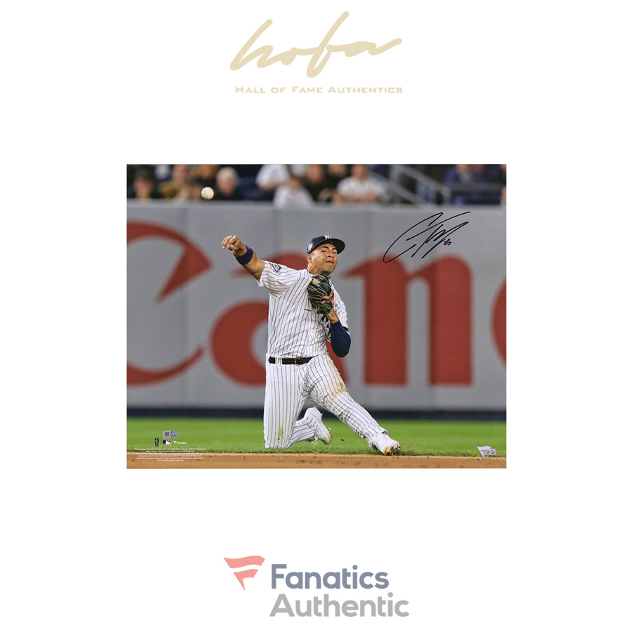 Gleyber_Torres_New_York_Yankees_Autographed_16_x_20_Throwing_Photograph_3646110_1.jpg