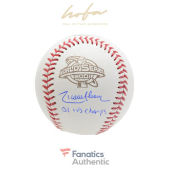 Randy Johnson Arizona Diamondbacks Autographed 2001 World Series Logo Baseball with "01 WS Champs" Inscription